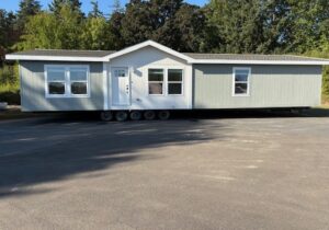 The Shout #6- Available NOW!